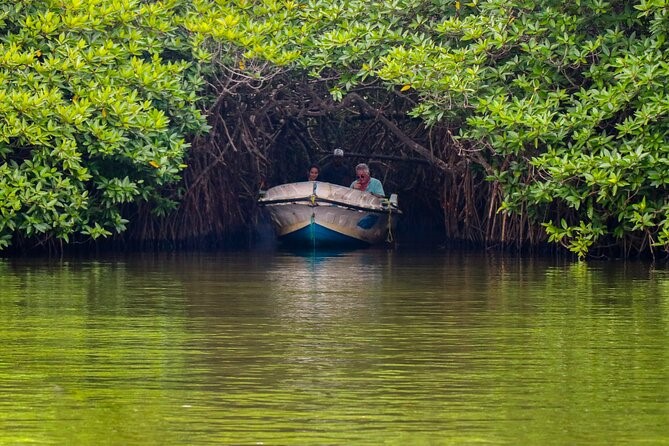 Get Your Feet Wet at the Madu River, The Surfer - The best surfing and yoga retreat in Sri Lanka and South Asia. 