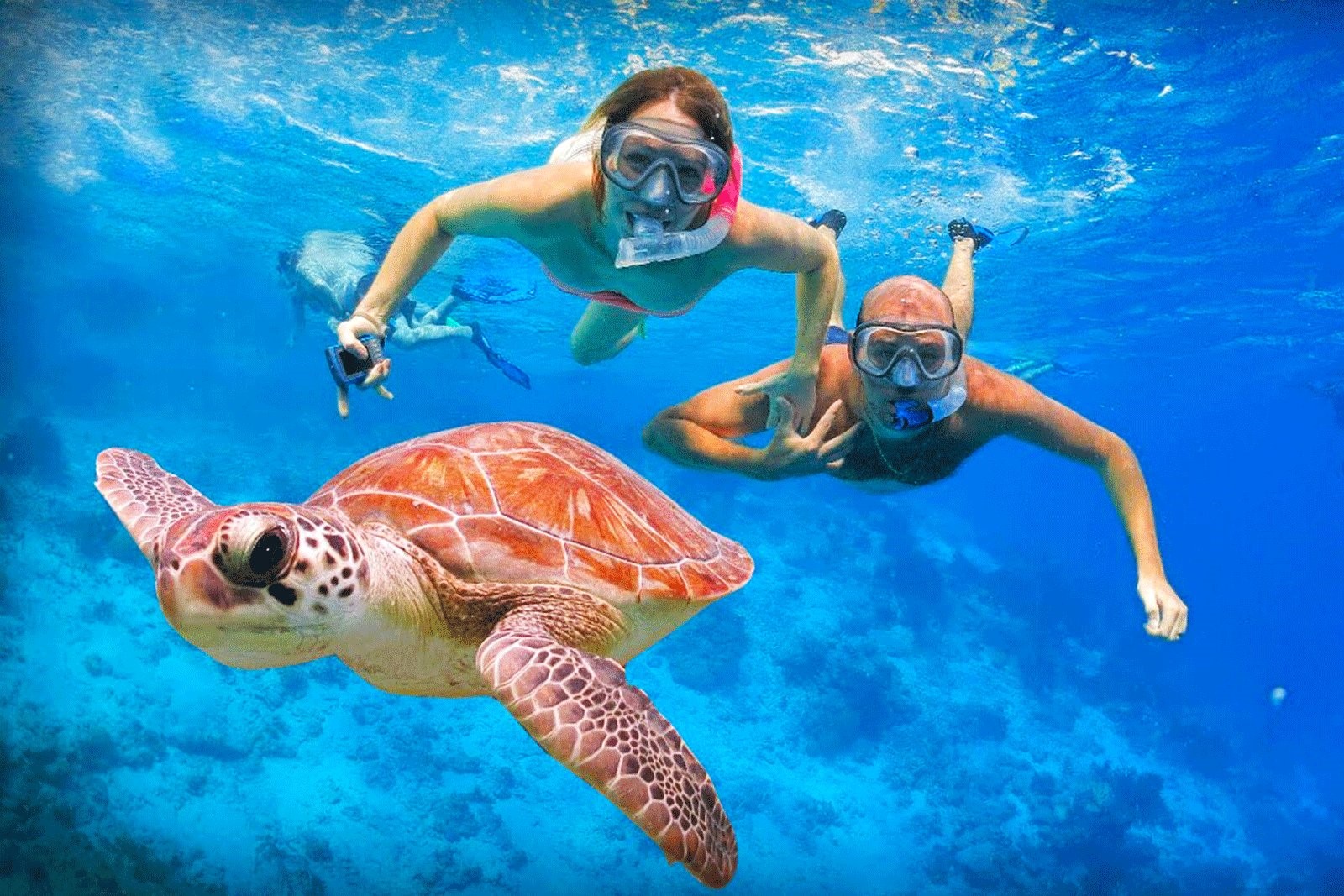 Swim Among the Turtles, The Surfer - The best surfing and yoga retreat in Sri Lanka and South Asia. 