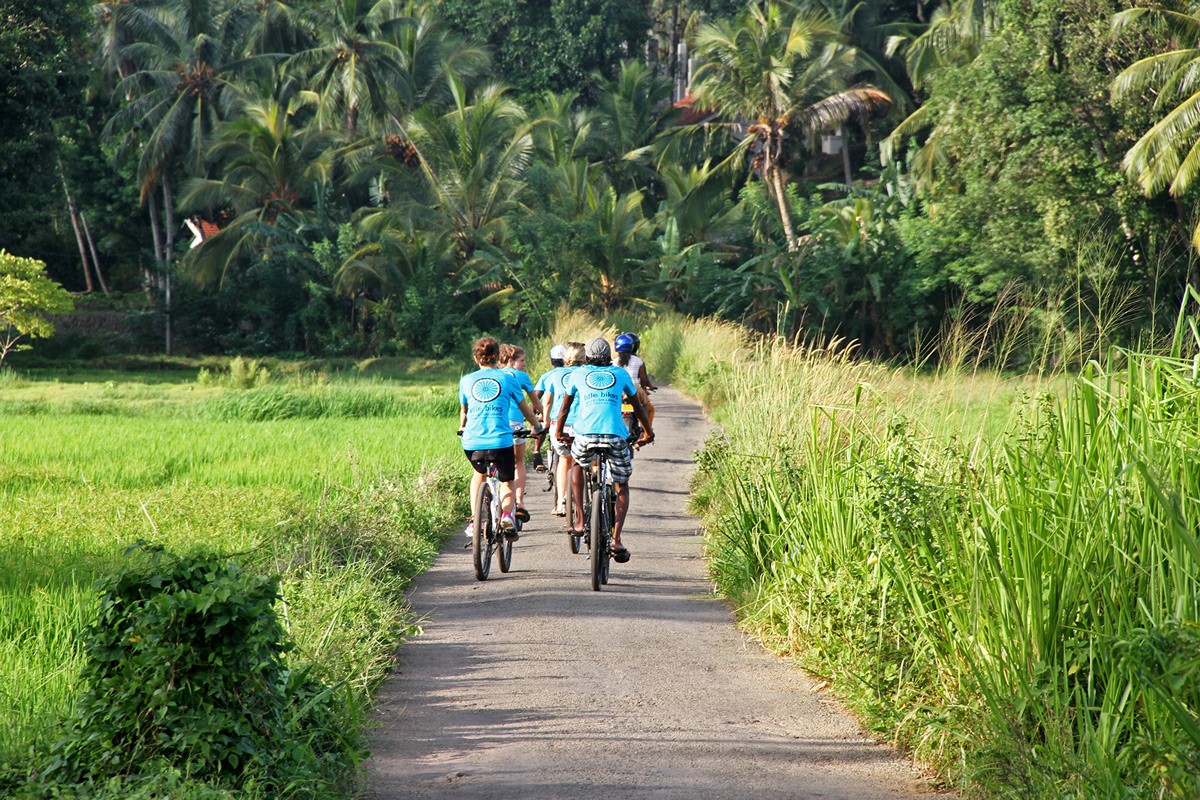 Cycling Adventure, The Surfer - The best surfing and yoga retreat in Sri Lanka and South Asia. 