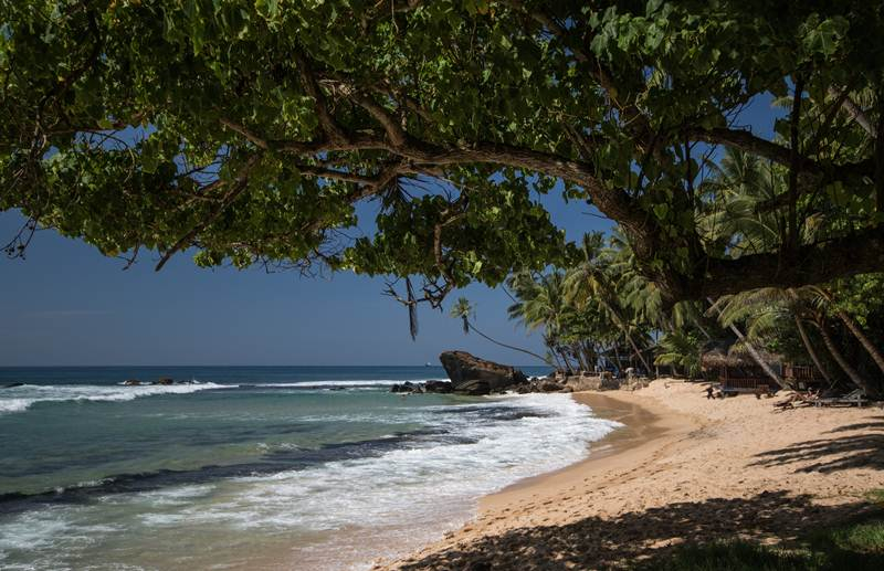 The Small House a Cozy Beachfront Villa Located in Unawatuna