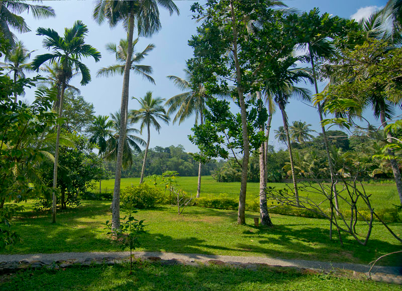 Lush Villa a Luxury Villa Surrounded by Paddy in Galle, Sri Lanka