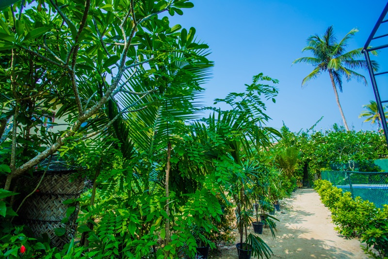 South Surf House a Villa In Ahangama, Sri Lanka