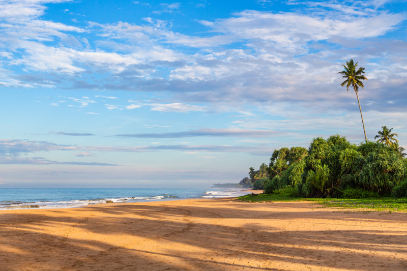 Villa Sanasuma a Stunning Beachfront Villa in Kosgoda, Sri Lanka