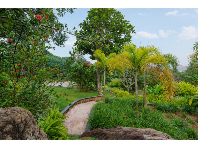 Palmscape Pavilion a Stunning Villa in Galle, Sri Lanka