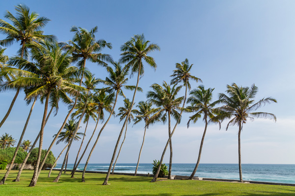 Villa 23 a Stunning Beachfront Villa in Thalpe, Sri Lanka