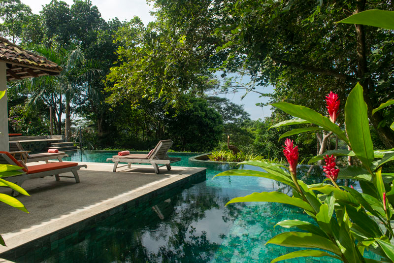 The Tea Estate a Luxurious Inland Villa with Pool in Galle, Sri Lanka