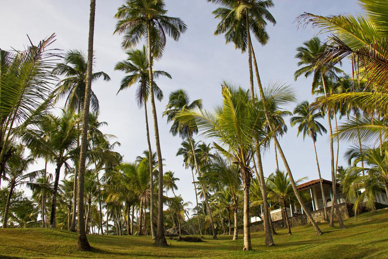 Claughton House a Beachfront Villa in Dikwella, Sri Lanka