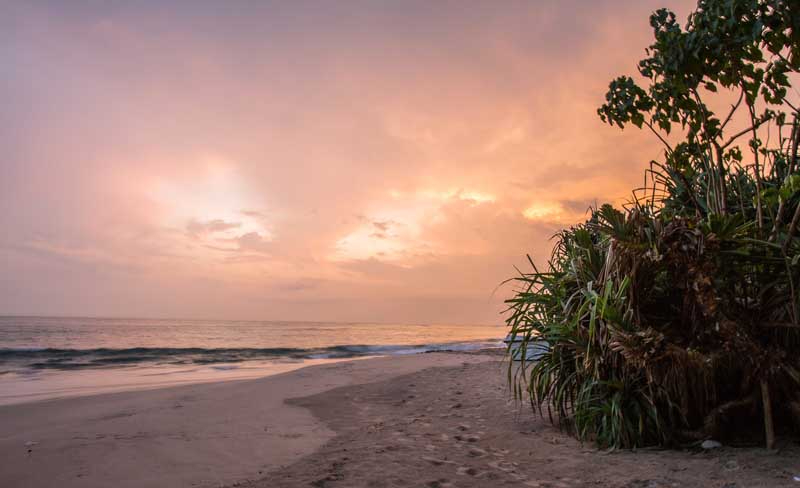 SPO a Beachfront Villa in Ahangama, Sri Lanka