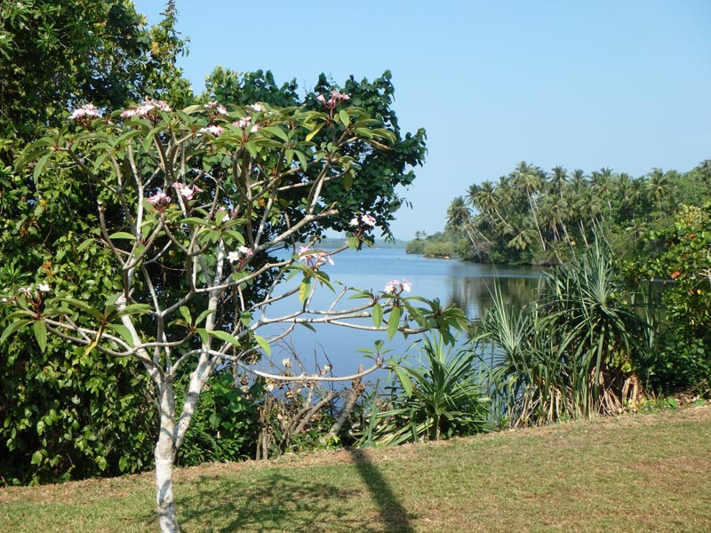 Koggala House a Lakefront Villa in Koggala, Sri Lanka