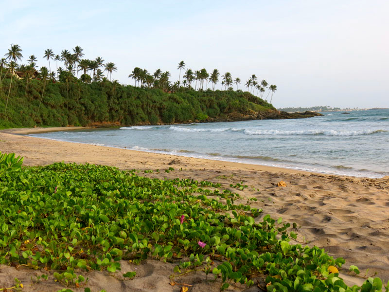 Beach Haven a Cozy Beachfront Villa in Mirissa, Sri Lanka