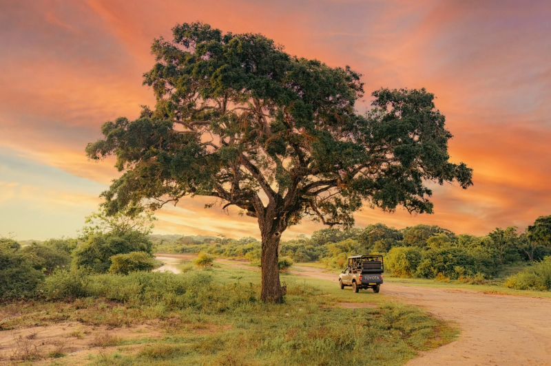 Wild Coast Tented Lodges in Yala, Sri Lanka