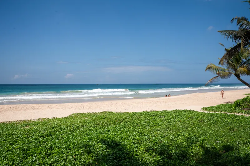 Villa Saldana a Beachfront villa in Habaraduwa, Sri Lanka