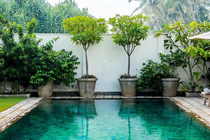 The Beach House a Family Friendly Beach Villa in Galle, Sri Lanka
