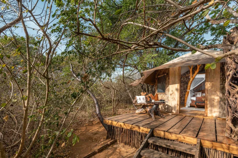 Leopard Safaris - Yala National Park Luxury Double Tent