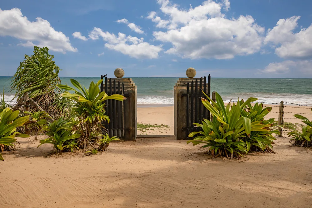 The Beach and the Estate Grounds