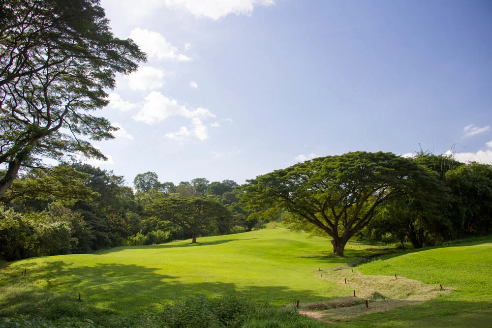 Set Inside Victoria Golf & Country Resort