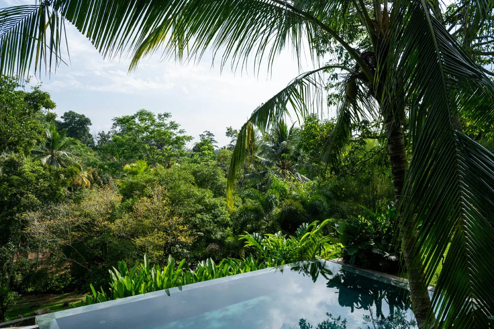 The Infinity Pool and the Canopy View