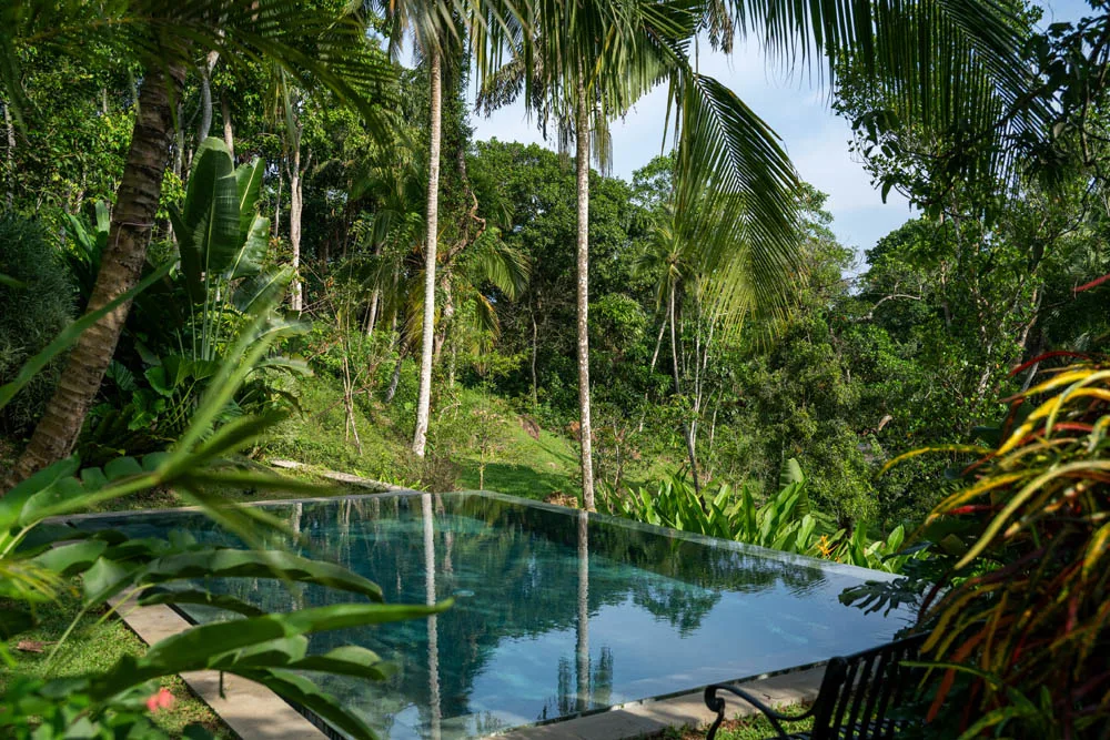 The Infinity Pool and the Canopy View