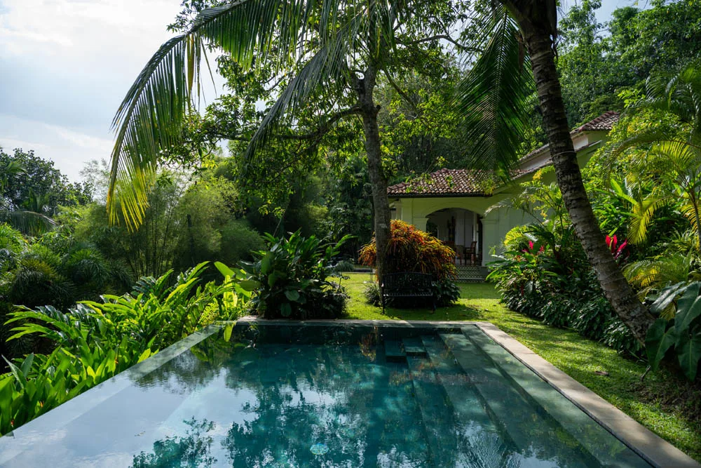 The Infinity Pool and the Canopy View
