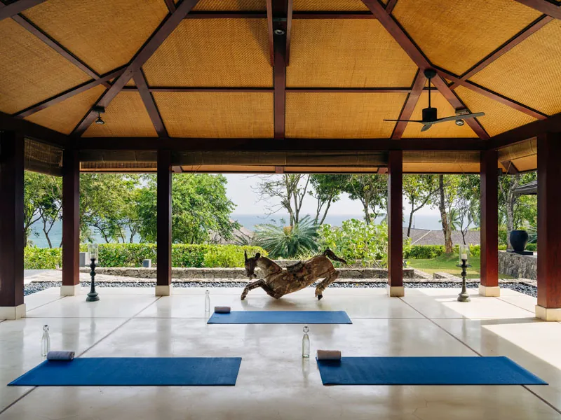 ÀNI Sri Lanka The Most Luxurious Private Villa Estate in Sri Lanka photo 10