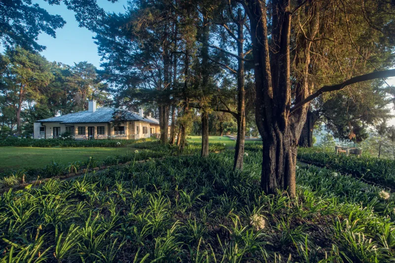 Elysian Peaks a Stunning Hilltop Villa in Nuwara Eliya, Sri Lanka photo 7