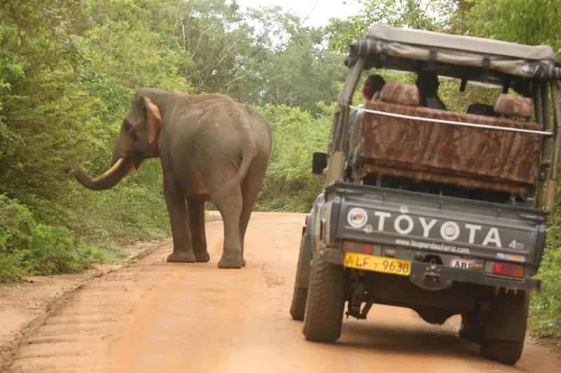Leopard Safaris - Yala National Park Luxury Double Tent photo 6