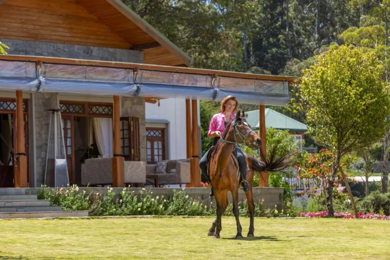 Firsmead a Planters Villa in Nuwara Eliya  photo 5