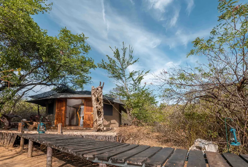 Leopard Safaris - Yala National Park Luxury Double Tent photo 18