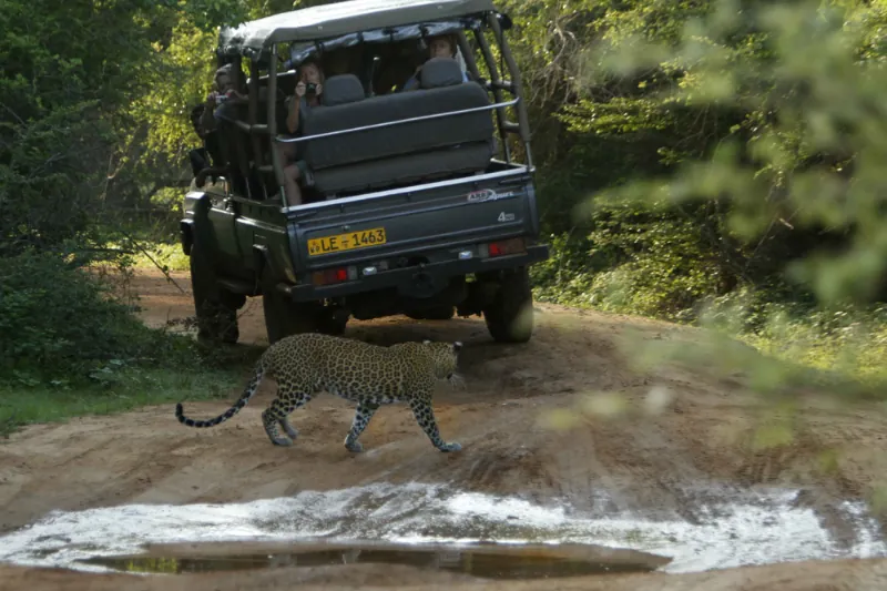 Leopard Safaris - Yala National Park Luxury Double Tent photo 5